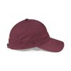 Arizona State University // Low Crown Heavy Washed Hat