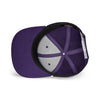 Louisiana State University // Mid Crown Performance Hat