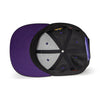 Louisiana State University // Low Crown Performance Hat